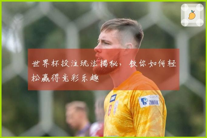 世界杯投注玩法揭秘，教你如何轻松赢得竞彩乐趣