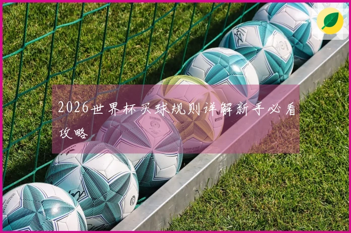2026世界杯买球规则详解新手必看攻略