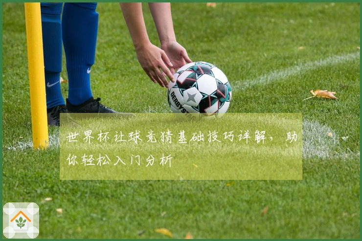 世界杯让球竞猜基础技巧详解，助你轻松入门分析