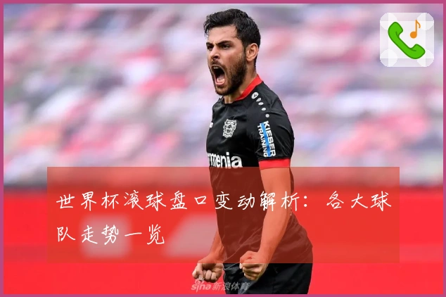 世界杯滚球盘口变动解析：各大球队走势一览