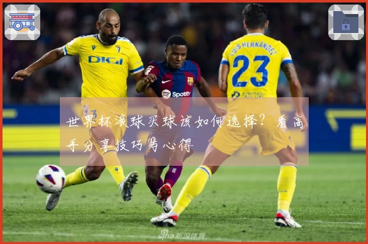 世界杯滚球买球该如何选择？看高手分享技巧与心得