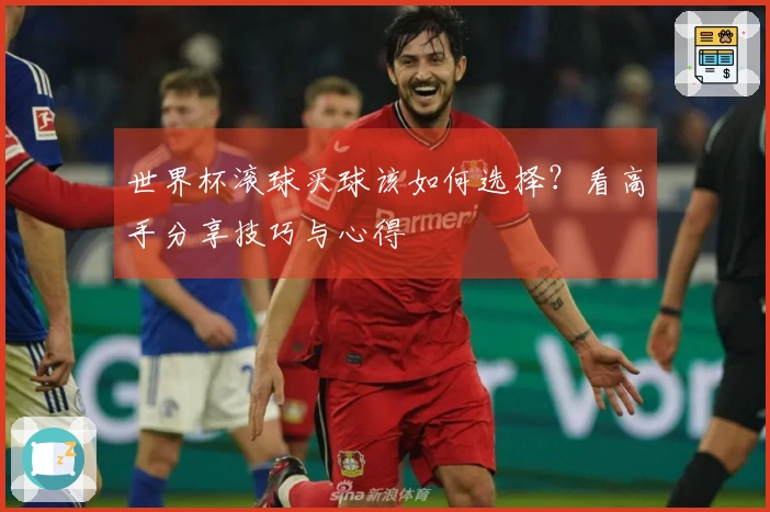 世界杯滚球买球该如何选择？看高手分享技巧与心得