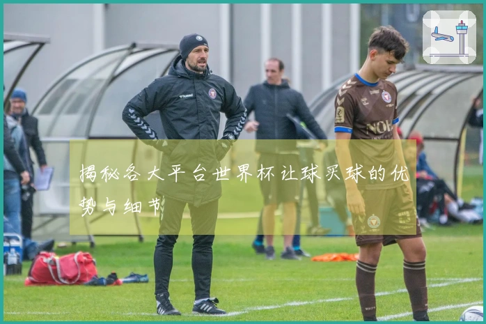 揭秘各大平台世界杯让球买球的优势与细节